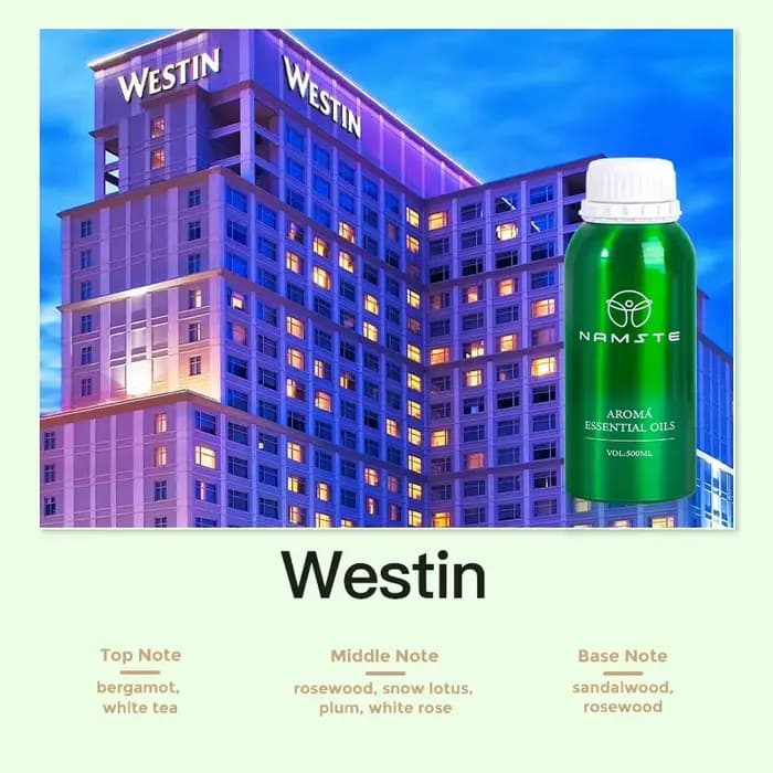Désodorisant pour la maison RiInventory, 500ml, huile aromatique, parfum, diffuseur d'arôme, ritz os