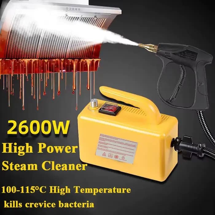 Nettoyeur à vapeur domestique