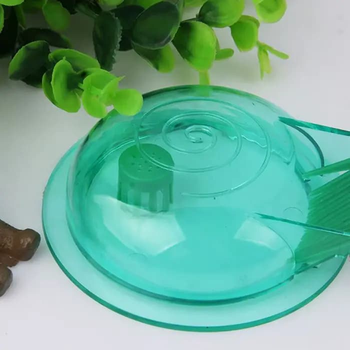 Piège à escargots Transparent pour Aquarium
