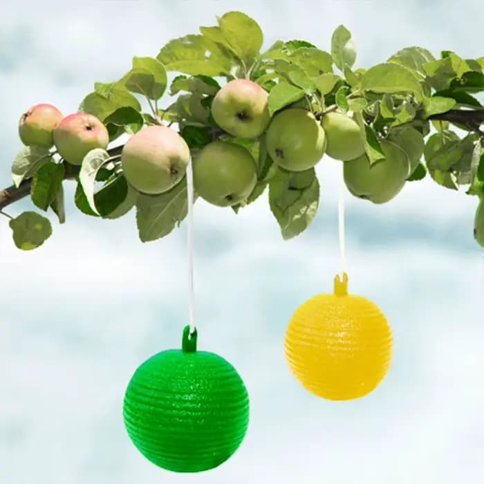 Piège à mouches à fruits en forme de boule