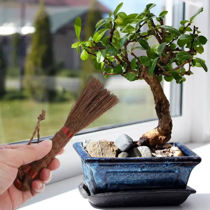 Brosse de jardinage pour bonsaï