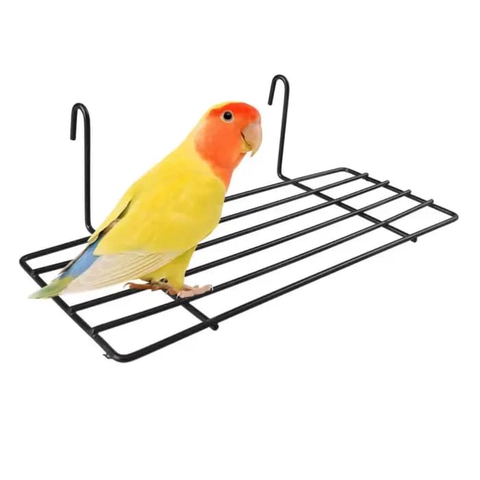 Plateforme murale en grille pour cage à oiseaux, support d'étagère pour oiseaux, perchoir pour perroquets