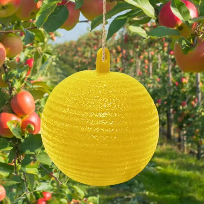 Piège à mouches à fruits en forme de boule