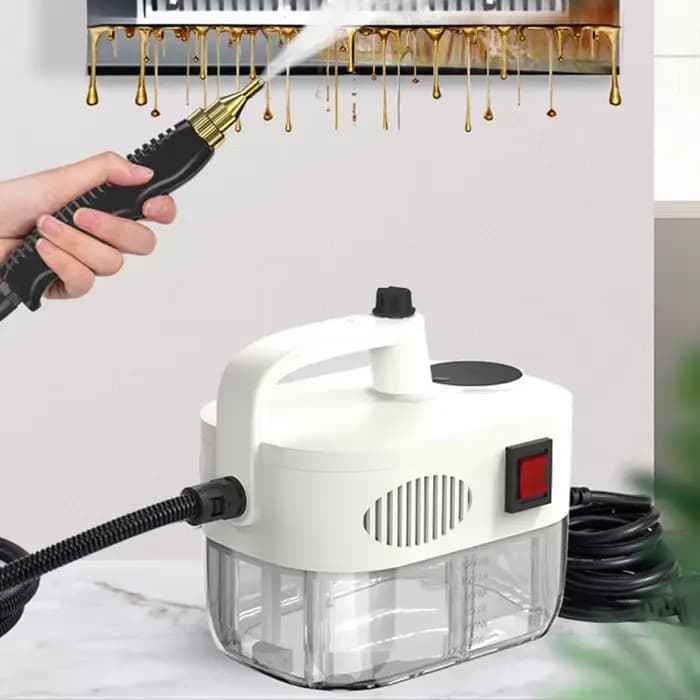 Nettoyeur à vapeur domestique à main