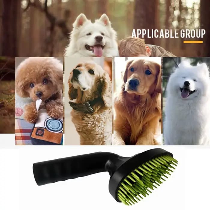 Aspirateur de Énergie pour Animaux de Compagnie