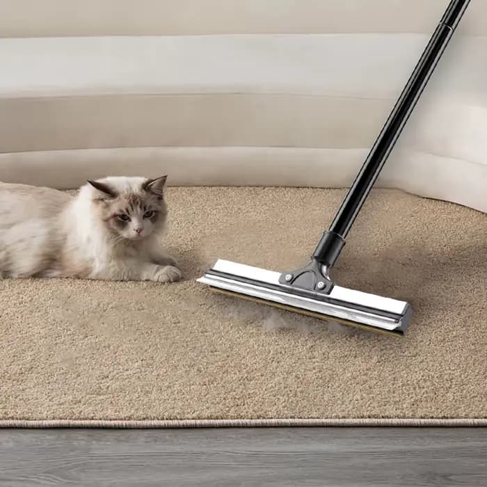 Râteau à tapis pour enlever les poils d'animaux
