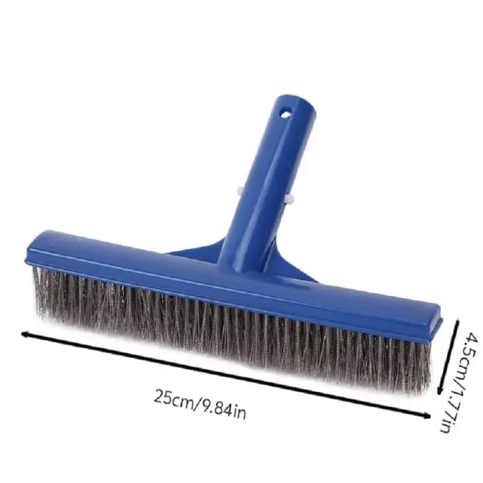 Brosse à algues en acier inoxydable durable de 10 pouces pour le nettoyage des piscines