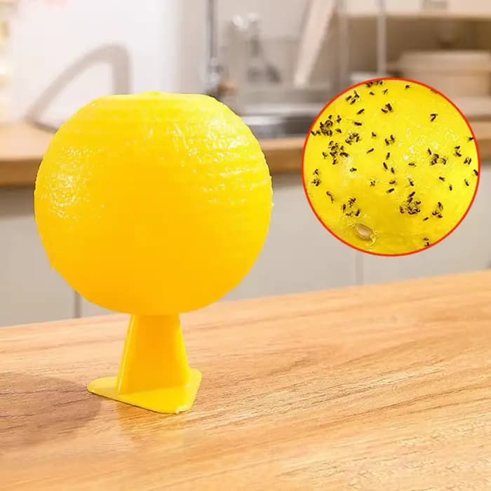 Pièges à mouches à fruits