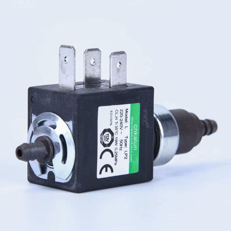 Nouvelle pompe électromagnétique pour nettoyeur vapeur Karcher, pompe auto-amorçante de remplacement