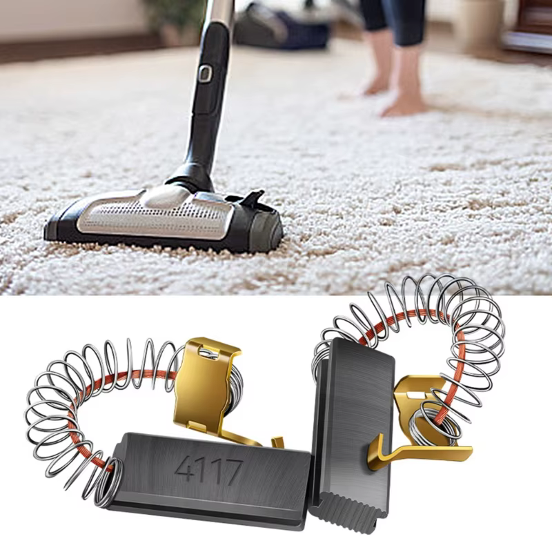 Balais carbone balais moteur remplacement aspirateur Machine soufflage pour animaux compagnie balais