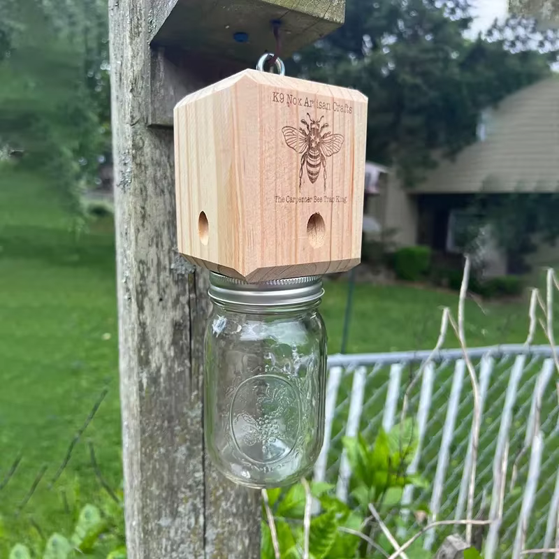 Piège à abeilles de charpentier pour l'extérieur, piège à abeilles de charpentier suspendu en bois d