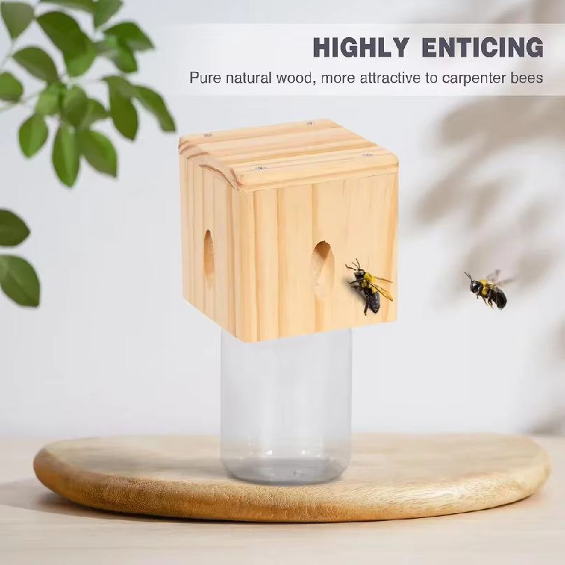 Nouvelle Piège à Abeilles Carpenter pour l'extérieur - Pièges à Abeilles Carpenter en Bois Suspendus