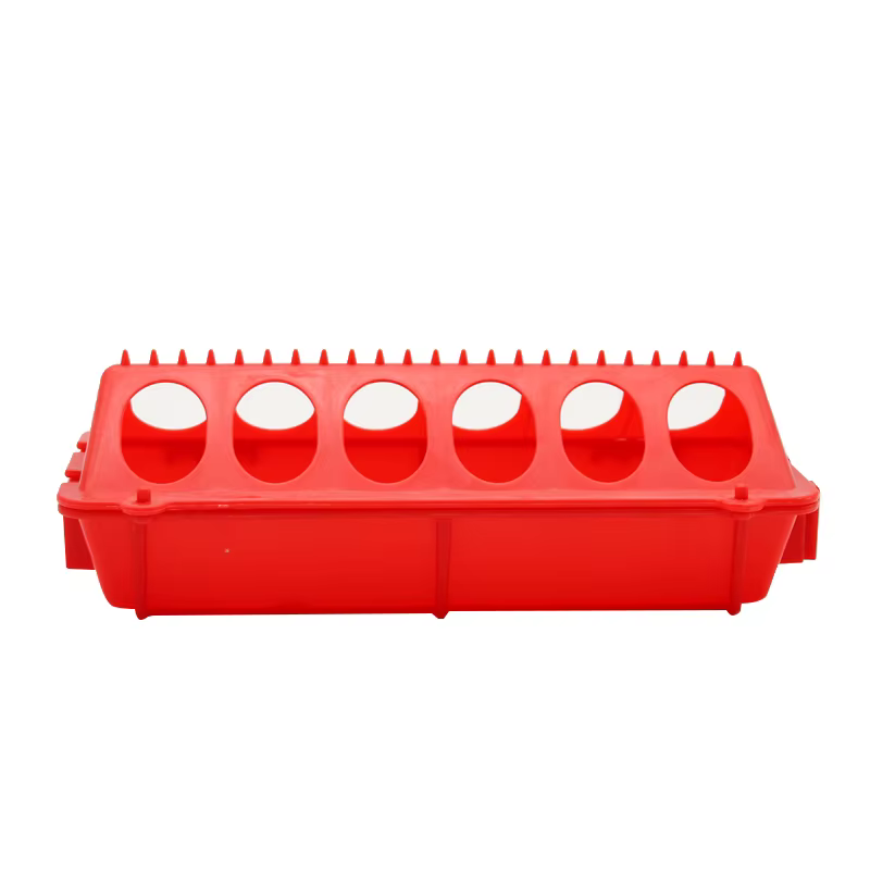 Mangeoire à poulet mangeoire à eau automatique pour poussins caille poussins boîte d'alimentation ma