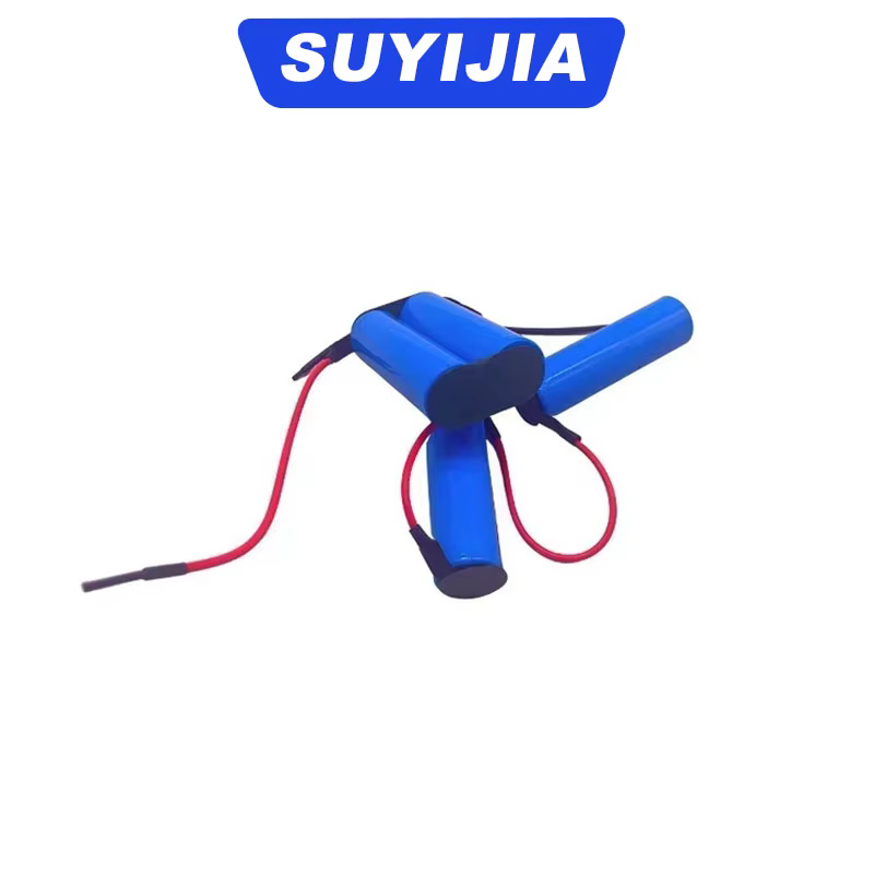 Batterie au Lithium Rechargeable 18V 14.4V 10.8V C5/C4/C3 18650 pour Electrolux ZB2904X ZB3104 EL2050 Type pour aspirateurs