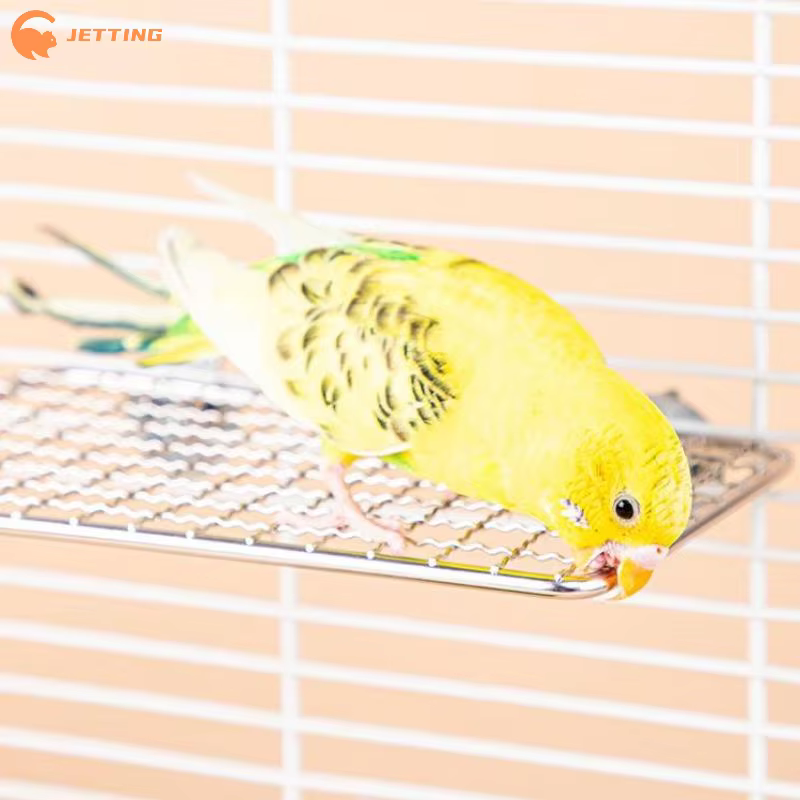 Accessoires pour Cage à oiseaux, perroquet pour animaux de compagnie, repos en acier inoxydable, plate-forme de saut, planche de support, jouets à mâcher, bâton de branche d'arbre, support