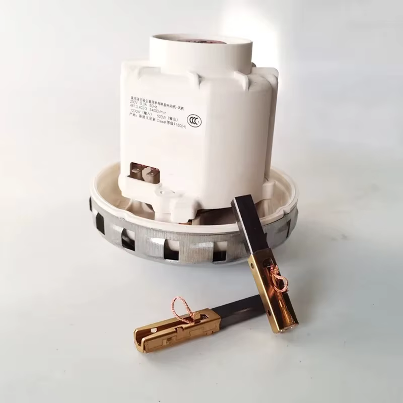 Balais en carbone pour aspirateur
