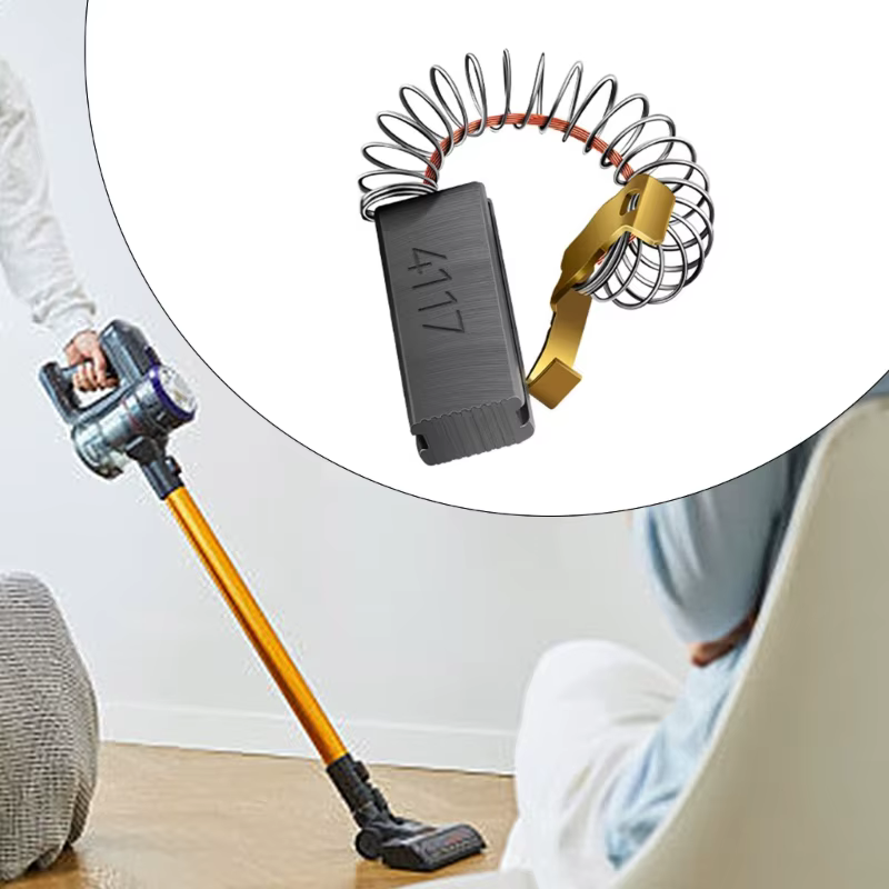 Balais carbone balais moteur remplacement aspirateur Machine soufflage pour animaux compagnie balais carbone
