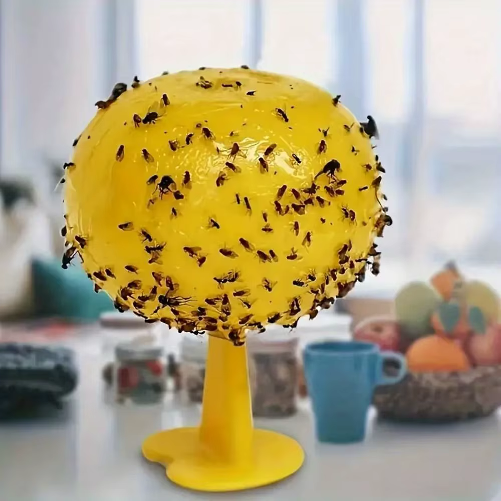 Piège à insectes boules de mouche de fruits jaunes