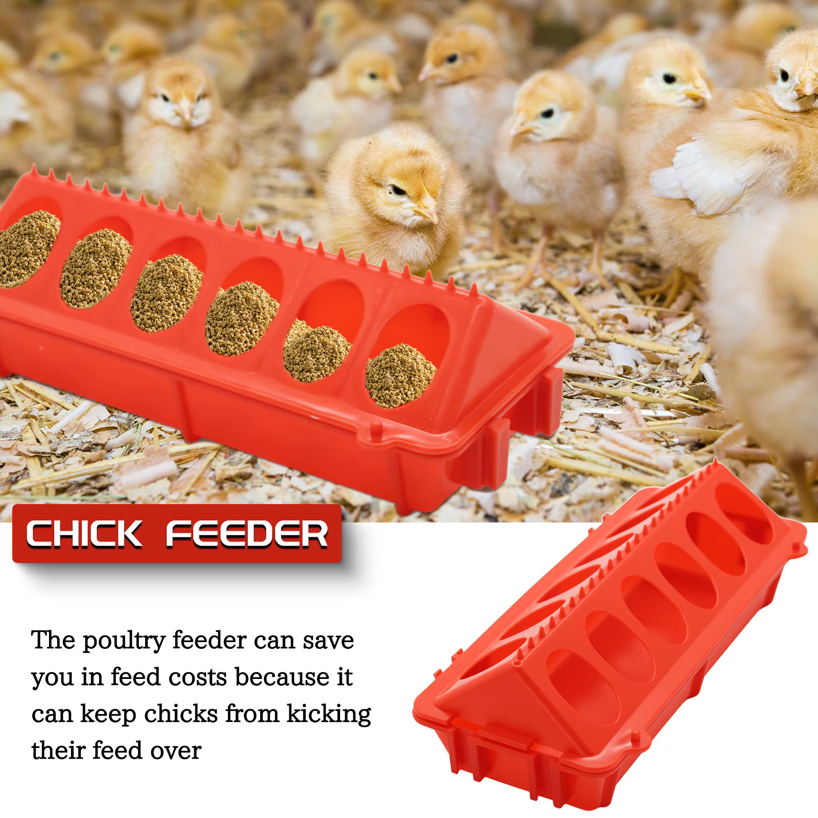 Mangeoire à poulet