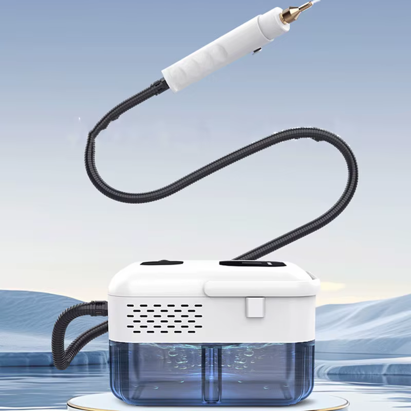 Nettoyeur Vapeur Haute Température Portable, Stérilisation, Affichage Numérique, Poignée Tactile, Ménage, Cuisine, Livres, 110V, 220V, Nouveau