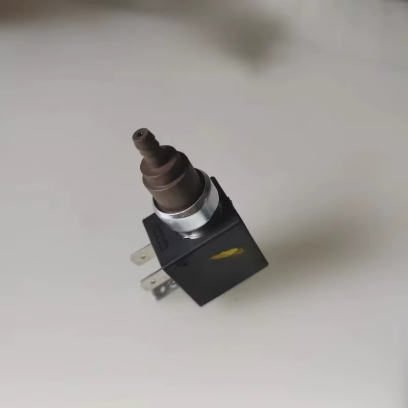 Nouvelle pompe électromagnétique pour nettoyeur vapeur Karcher, pompe auto-amorçante de remplacement SC2 SC3