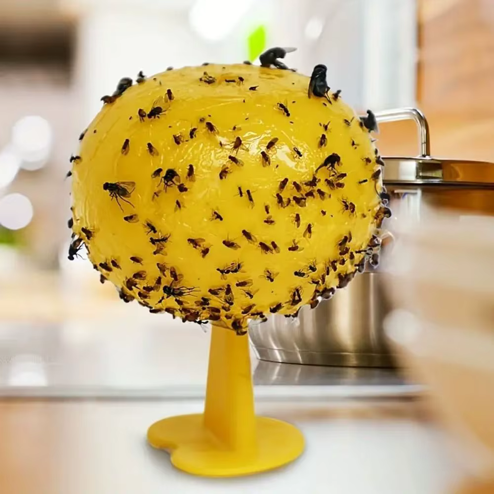 Piège à insectes boules de mouche de fruits jaunes