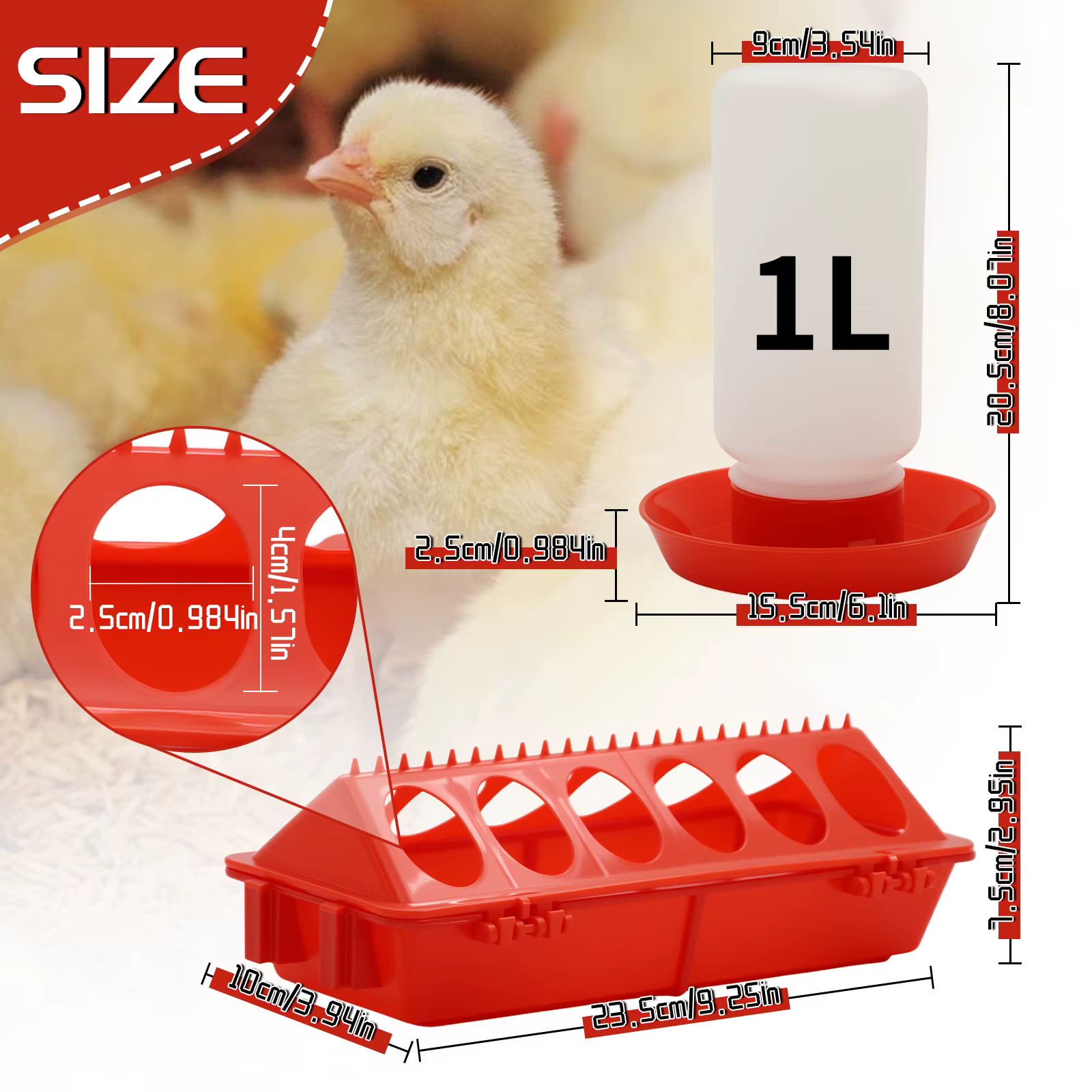 Mangeoire à poulet
