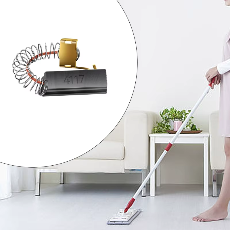 Balais carbone balais moteur remplacement aspirateur Machine soufflage pour animaux compagnie balais carbone