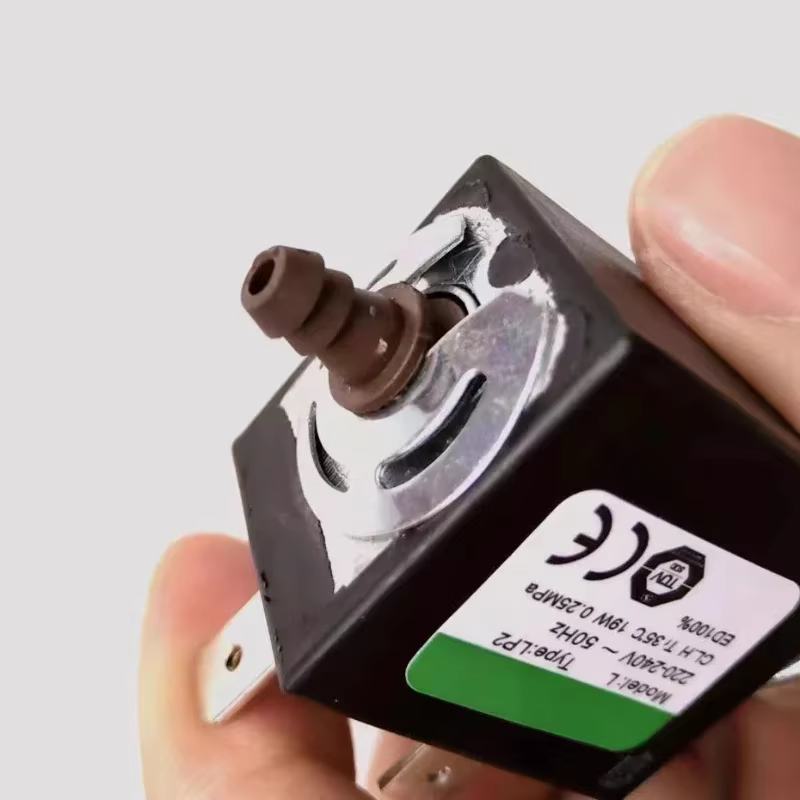 Pompe électromagnétique 220V 19W pour vadrouille à vapeur