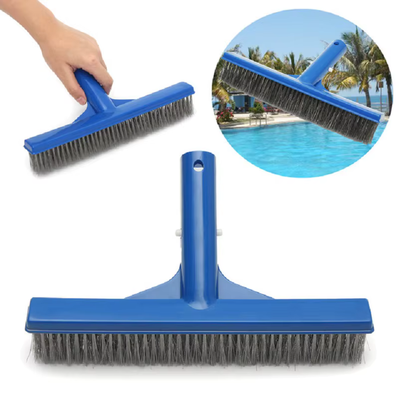 Brosse à algues robuste de 10 pouces en acier inoxydable pour le nettoyage des piscines