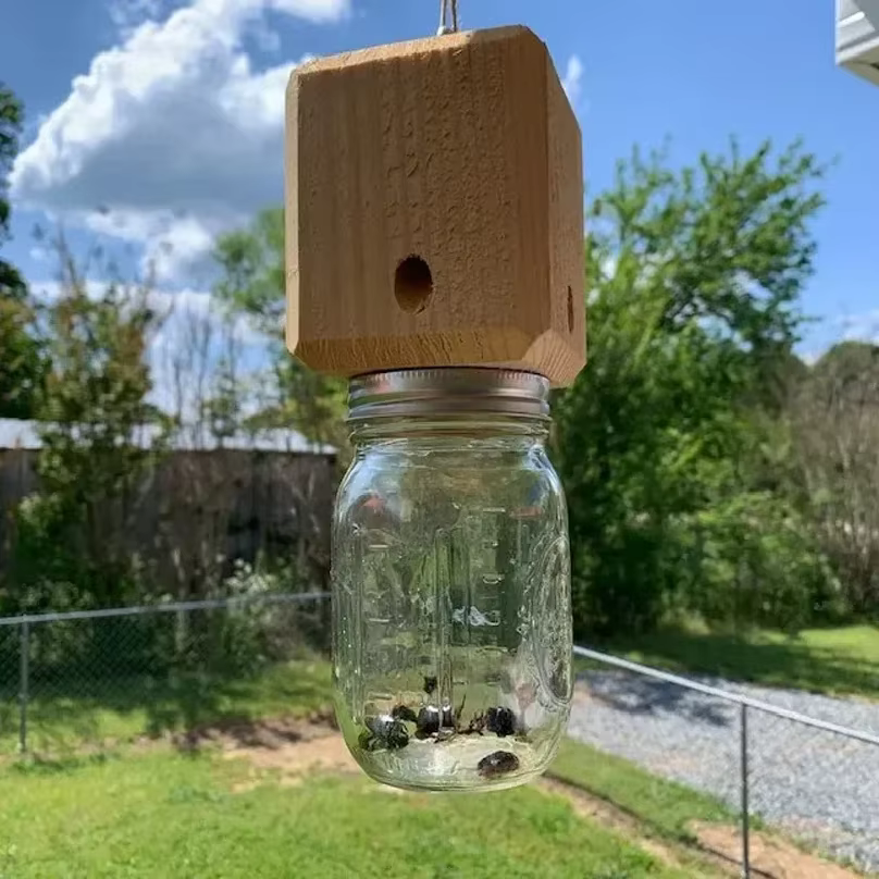 Nouvelle Piège à Abeilles Carpenter pour l'extérieur - Pièges à Abeilles Carpenter en Bois Suspendus Style Pentroof - Pièges à Insectes avec Niche Amovible