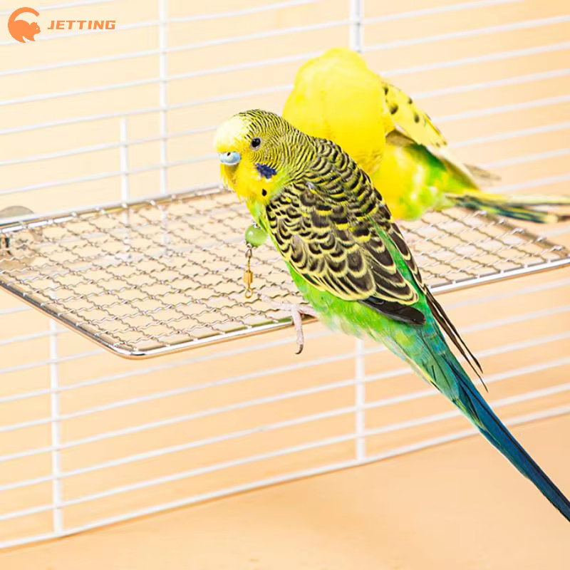 Accessoires pour Cage à oiseaux, perroquet pour animaux de compagnie, repos en acier inoxydable, plate-forme de saut, planche de support, jouets à mâcher, bâton de branche d'arbre, support