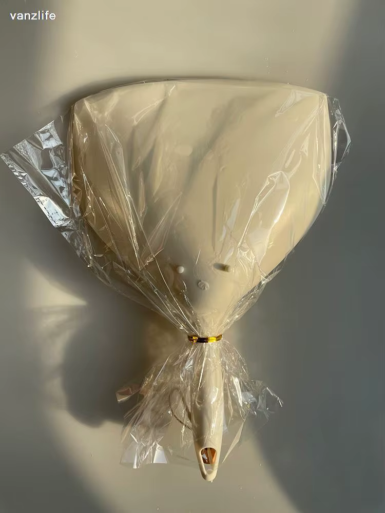 Ménage avec un petit balai