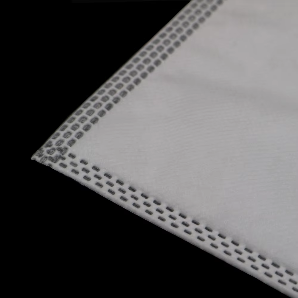 Sacs d'aspirateur pour Thomas Anti Allergy Aqua