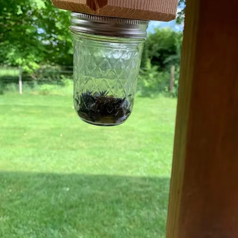Piège à abeilles de charpentier pour l'extérieur, piège à abeilles de charpentier suspendu en bois de Style Pentroof naturel, pièges à insectes avec coffre-fort amovible