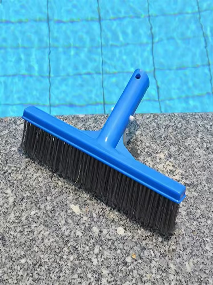 Brosse à algues robuste de 10 pouces en acier inoxydable pour le nettoyage des piscines
