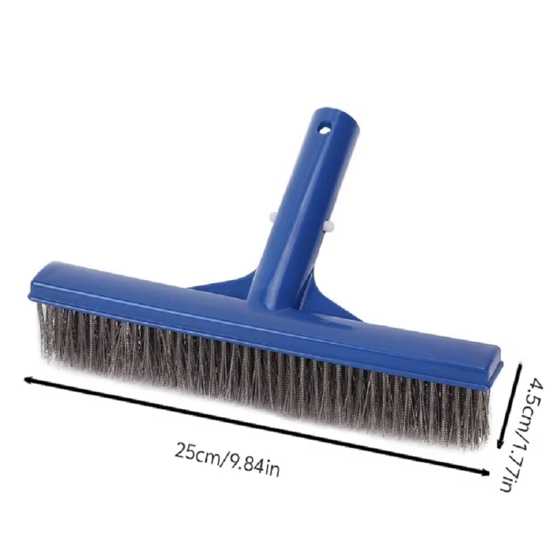 Brosse à algues robuste de 10 pouces en acier inoxydable pour le nettoyage des piscines